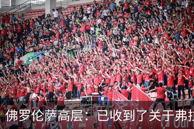佛罗伦萨高层：已收到了关于弗拉霍维奇的报价