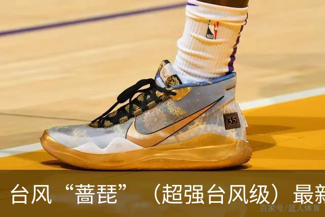台风“蔷琵”（超强台风级）最新路径公布，最大风力达17级，将给浙沪闽台带来强风雨，或在福建二次登陆