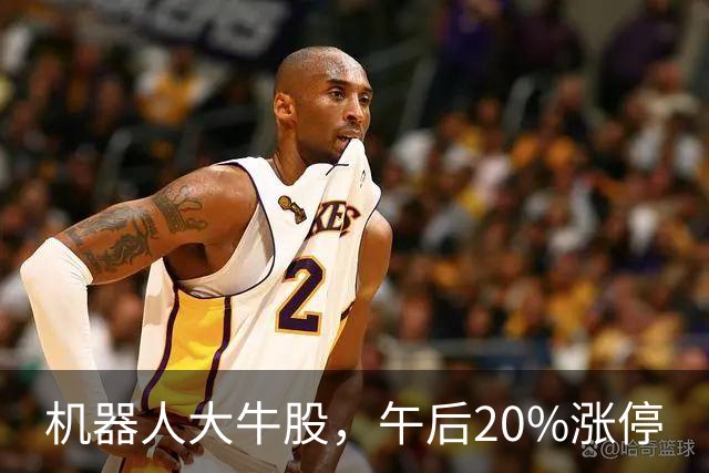 机器人大牛股，午后20%涨停