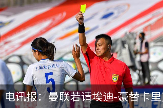 电讯报：曼联若请埃迪-豪替卡里克，需向纽卡支付最多600万镑