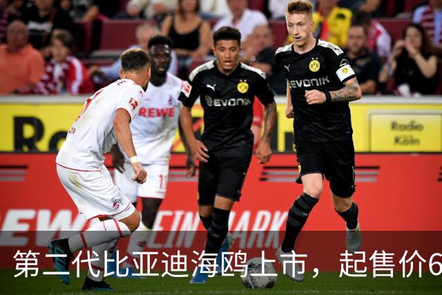 第二代比亚迪海鸥上市，起售价6.29万起！正面硬刚吉利星愿？