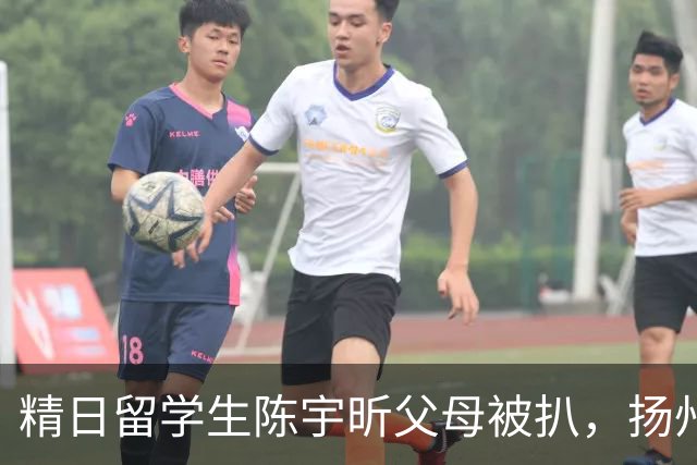 精日留学生陈宇昕父母被扒，扬州公司洗白，背后的人藏不住了