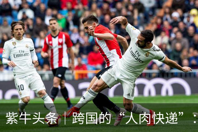 紫牛头条｜跨国的“人肉快递”：从加急件到陪老人，年飞千小时的小众职业“国际陪飞员”是美差吗？