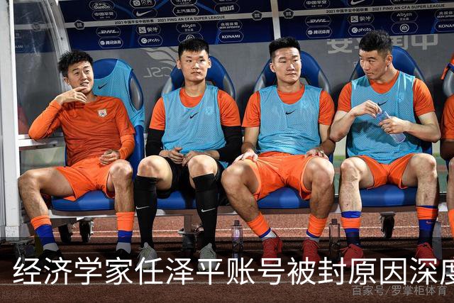 经济学家任泽平账号被封原因深度分析
