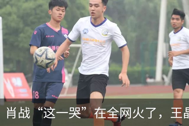肖战“这一哭”在全网火了，王晶的评价，终于有人信了！
