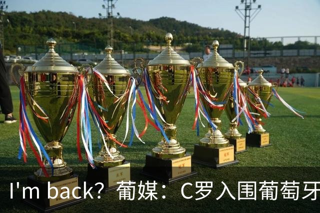 I'm back？葡媒：C罗入围葡萄牙新一期国家队初选名单